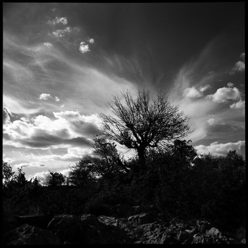 Copyright: Mario Majcan